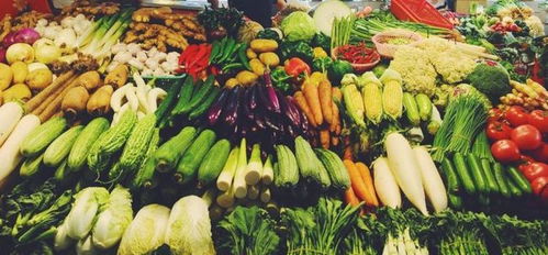 野菜嘗鮮需謹(jǐn)慎，小餐飲安全莫忽視