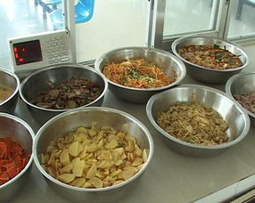 河口縣首期小餐飲服務(wù)食品安全知識(shí)培訓(xùn)成功舉辦