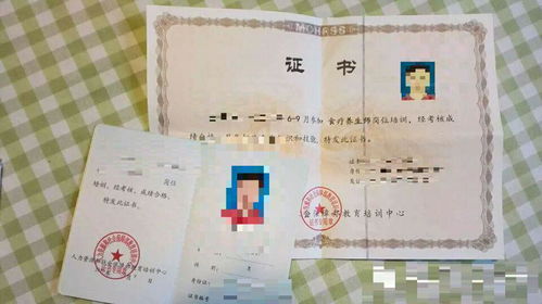 人力資源和勞動社會保障部教育培訓(xùn)中心與廣東省職業(yè)技能鑒定指導(dǎo)中心的培訓(xùn)哪個(gè)證書更好