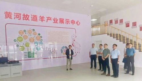 山東省人社廳赴單縣調(diào)研，推動羊肉湯專項(xiàng)職業(yè)技能培訓(xùn)品牌化與規(guī)范化發(fā)展