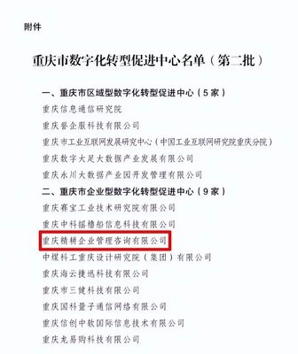 大渡口企業入選重慶市數字化轉型促進中心名單 科技信息咨詢服務助力產業升級